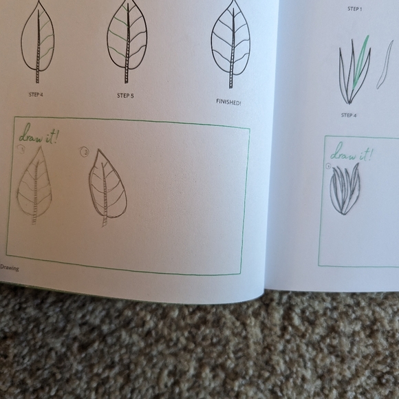 Botanical Line Drawing 200 Step-by-step cacti, leaves, flowers, succulents - Picture 6 of 16